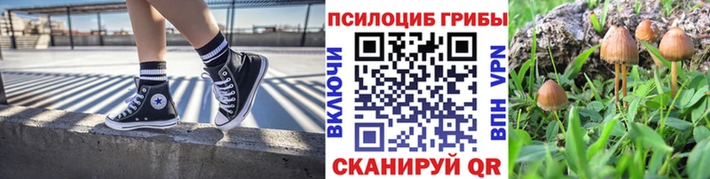 Галлюциногенные грибы Cubensis  Тара 